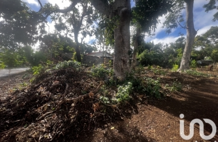 Vente Terrain 446m&sup2; Plaine des Cafres