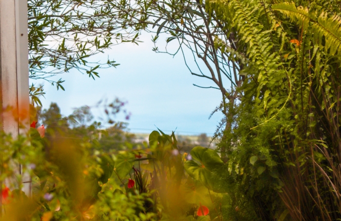 Vente Maison 681m&sup2; 17 pièces Saint Gilles Les Hauts