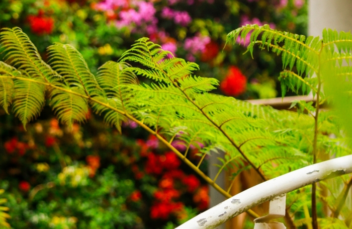 Vente Maison 681m&sup2; 17 pièces Saint Gilles Les Hauts