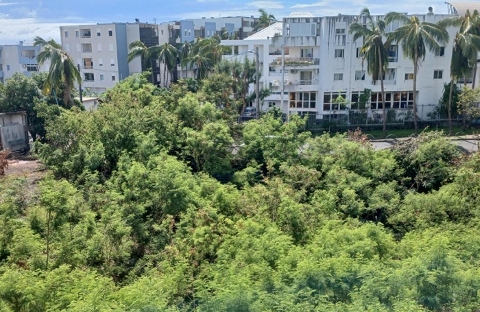 Vente Appartement 41.86m&sup2; 1 pièce Sainte Clotilde