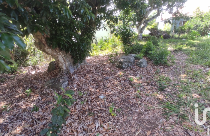 Vente Terrain 319m&sup2; Rivi&egrave;re Saint Louis