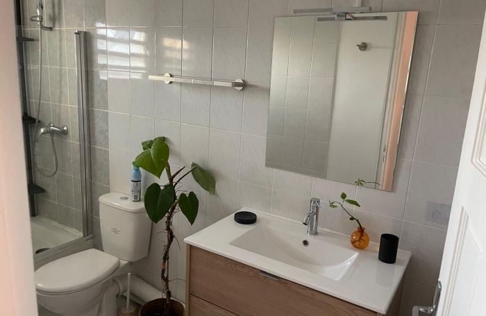 Location Appartement 37.18m&sup2; 1 pi&egrave;ce Saint Gilles les Bains