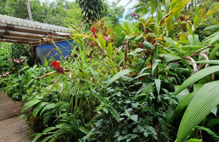 Villa F4 &agrave; vendre   Petite-&Icirc;le (97429) Prix de vente : 192 600 &euro; FAI