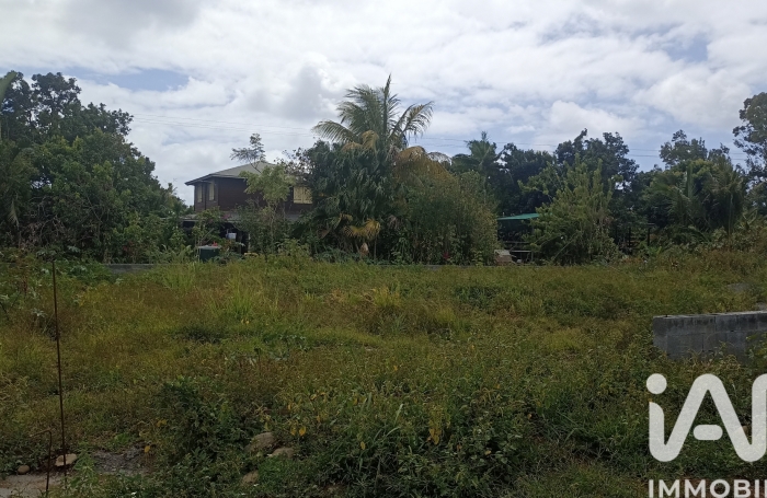 Vente Terrain 97440