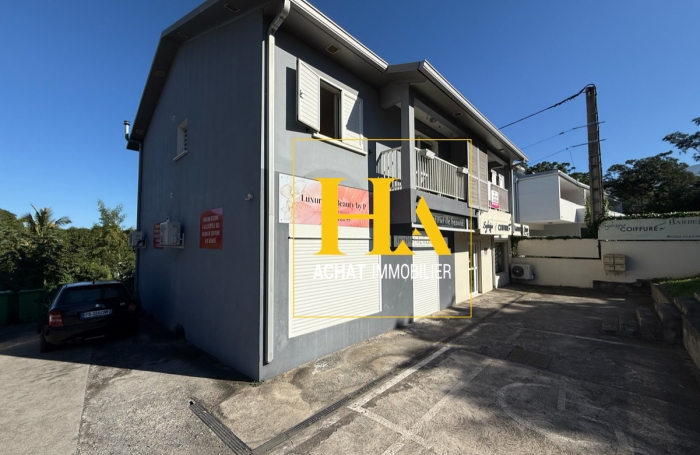 Vente Immeuble 247m&sup2; 8 pi&egrave;ces Rivi&egrave;re Saint Louis