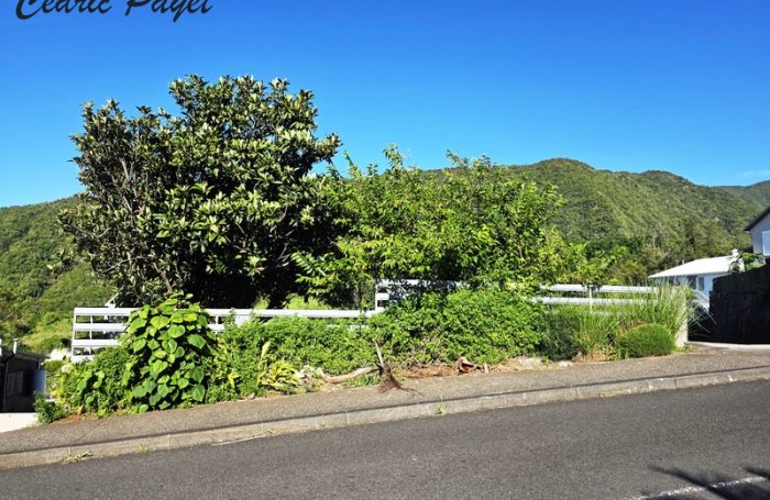 Vente Terrain 430m&sup2; Rivi&egrave;re Saint Louis