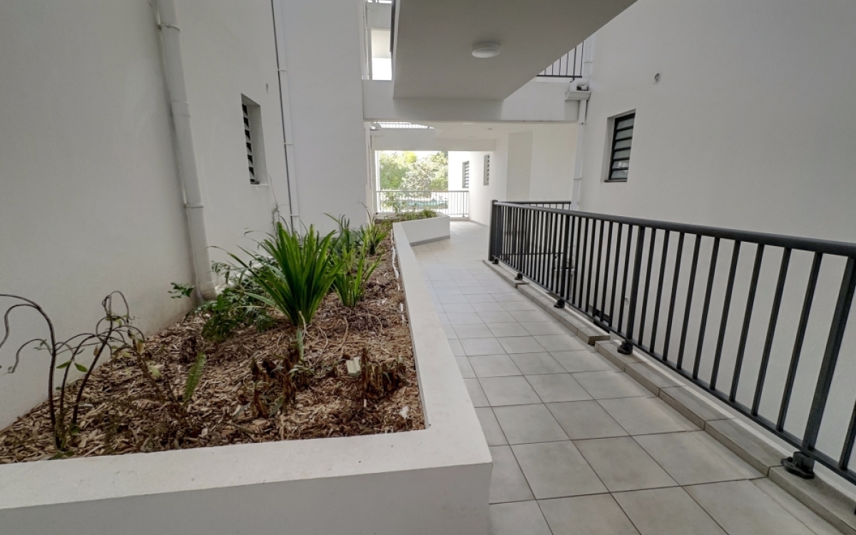 ST PIERRE CENTRE T3 NEUF