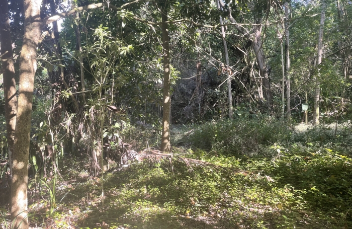 &Agrave; VENDRE  Terrain constructible avec vaste espace bois&eacute;