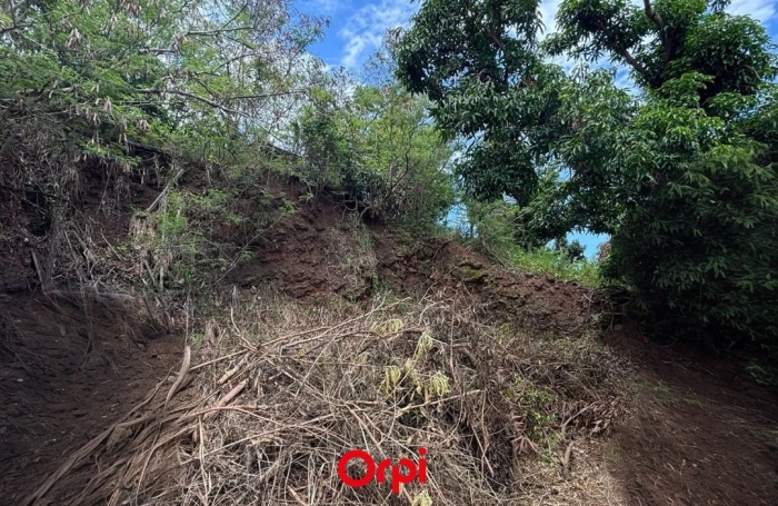 Vente Terrain 733m&sup2; Sainte Marie