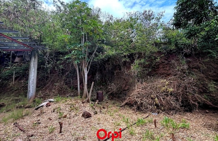 Vente Terrain 733m&sup2; Sainte Marie