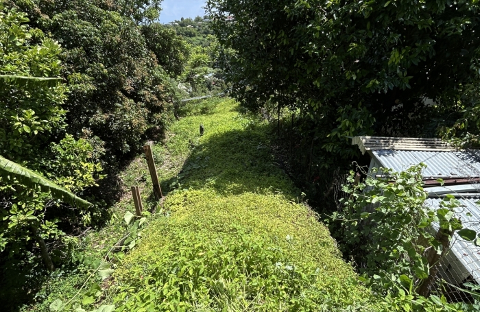 Vente Terrain 1795m&sup2; La Montagne