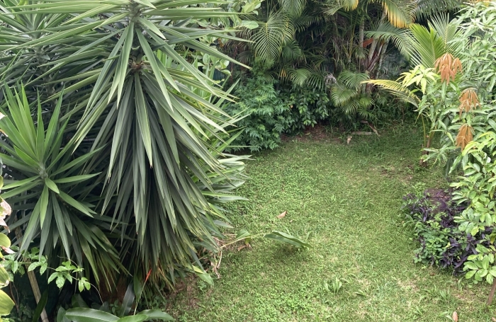 Vente Maison 214m&sup2; 8 pièces Bois de Nefles St Paul