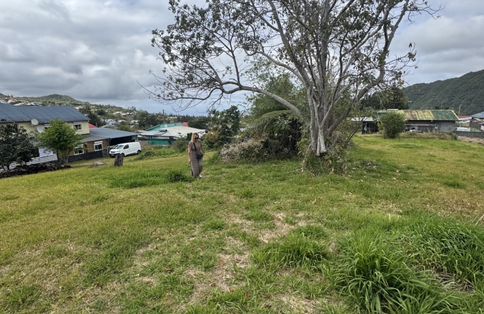 Vente Terrain 509m&sup2; Rivi&egrave;re Saint Louis