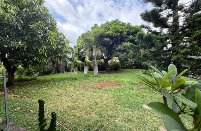 Vente Terrain 97460