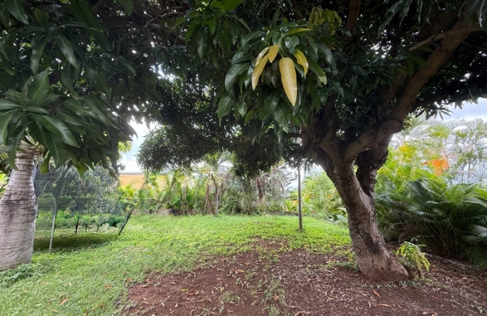 Vente Terrain 473m&sup2; Saint Paul