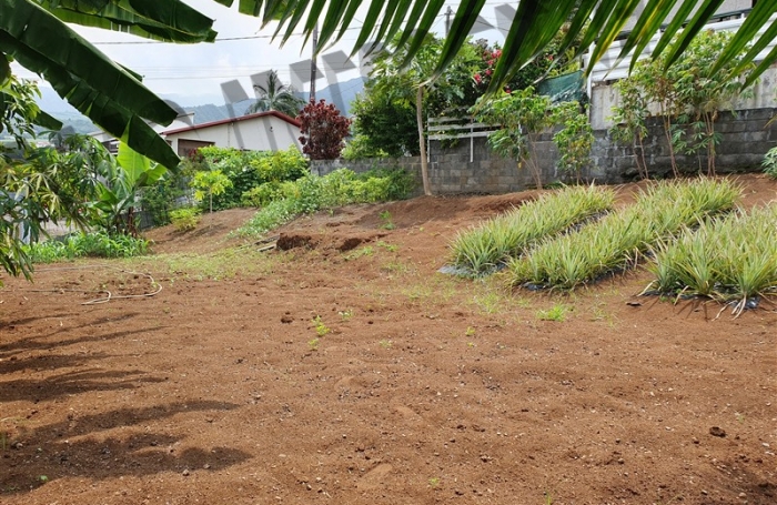 Vente Terrain 300m&sup2; Rivi&egrave;re Saint Louis