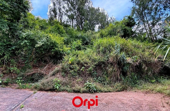 Vente Terrain 97433