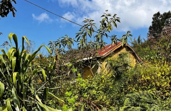 Vente Terrain 952m&sup2; La Possession