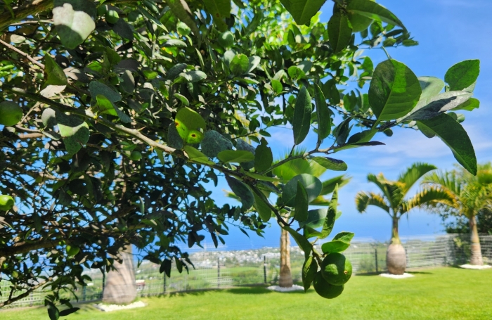 Vente Maison 161m&sup2; 5 pièces La Saline les Hauts