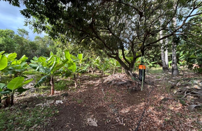 Vente Terrain 544m&sup2; Ravine des Cabris