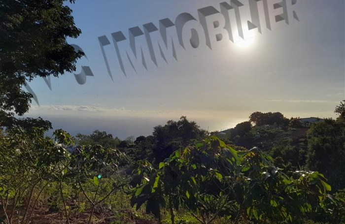 Location Maison 90m&sup2; 4 pi&egrave;ces Piton Saint Leu