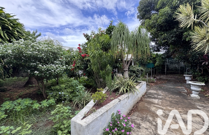 Vente Immeuble 240m&sup2; Saint Paul