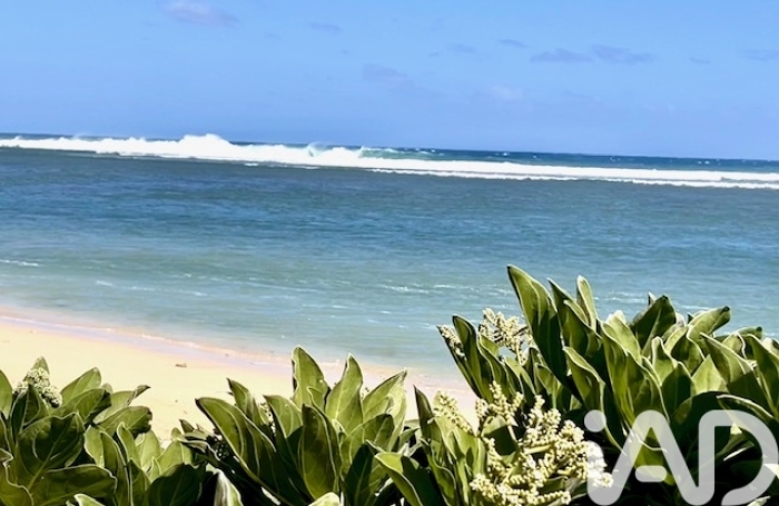 Vente Appartement 42m&sup2; 2 pièces Saint Gilles les Bains