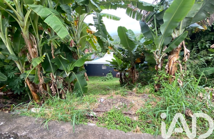 Vente Terrain 998m&sup2; L'Entre Deux