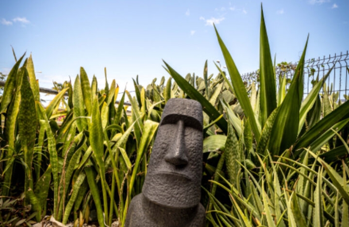 Location Appartement 43.6m&sup2; 2 pi&egrave;ces Saint-Pierre