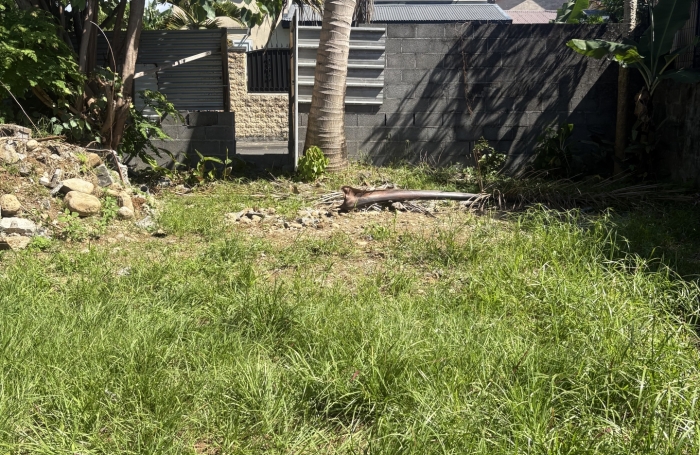 Vente Terrain 240m&sup2; Bras-Panon