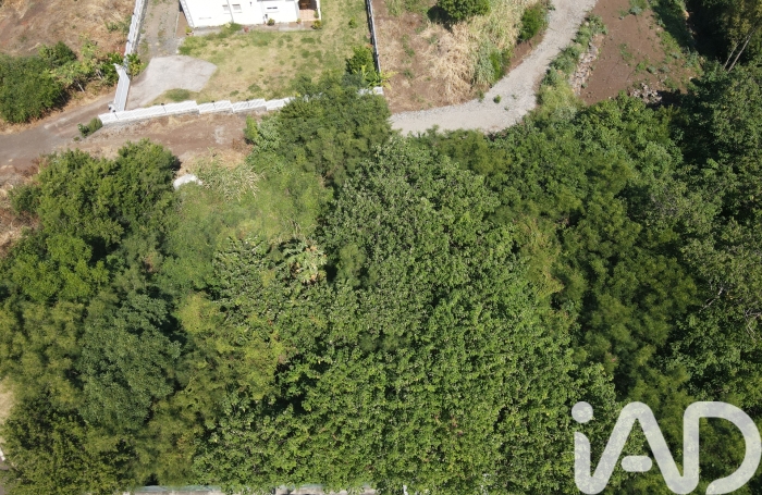 Vente Terrain 2138m&sup2; Piton Saint Leu