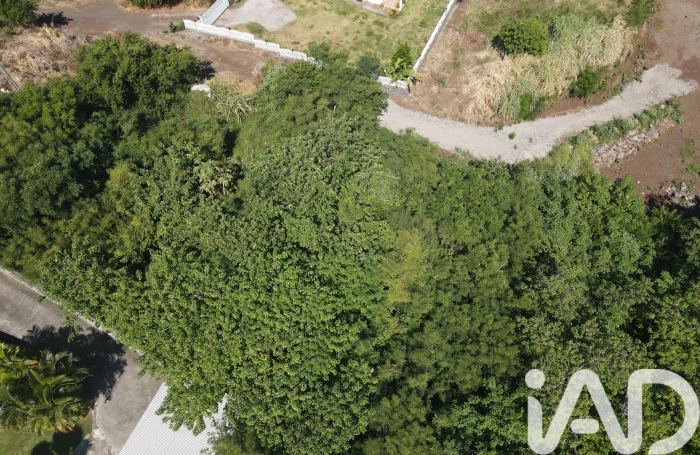 Vente Terrain 2138m&sup2; Piton Saint Leu