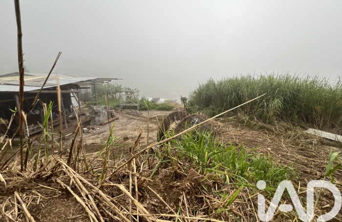 Vente Terrain 850m&sup2; Les Avirons