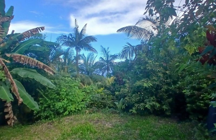 Vente Maison 80m&sup2; 4 pièces Petite &icirc;le