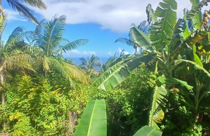 Vente Maison 80m&sup2; 4 pièces Petite &icirc;le