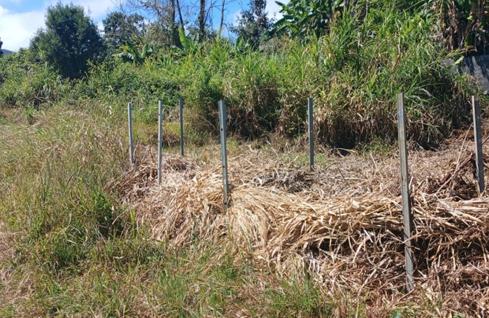 Vente Terrain 455m&sup2; Piton Saint Leu