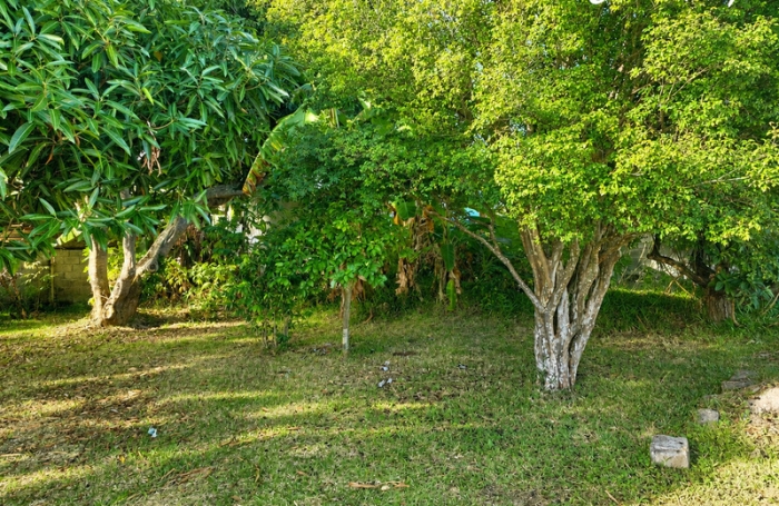 Vente Terrain 97421