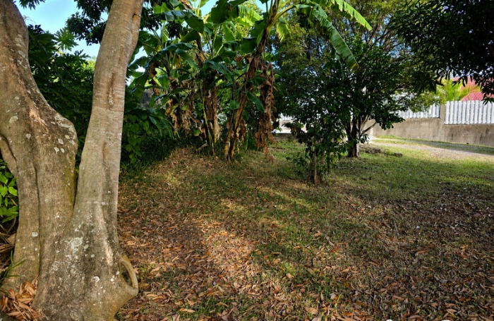Vente Terrain 469m&sup2; Rivi&egrave;re Saint Louis