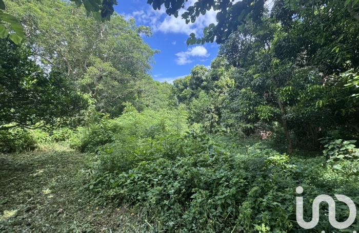 Vente Terrain 3000m&sup2; Bois de Nefles St Paul