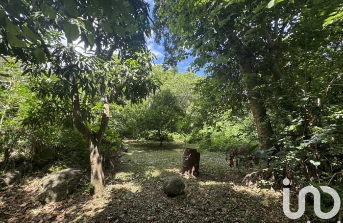 Vente Terrain 3000m&sup2; Bois de Nefles St Paul