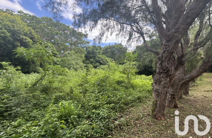 Vente Terrain 3000m&sup2; Bois de Nefles St Paul