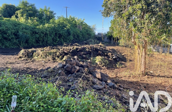 Vente Terrain 97430
