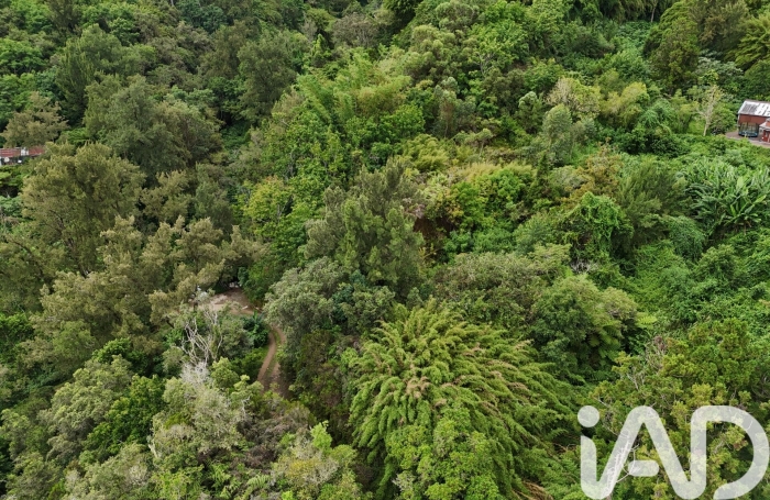 Vente Terrain 97400