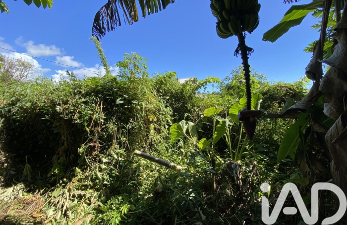 Vente Terrain 575m&sup2; Saint-Beno&icirc;t