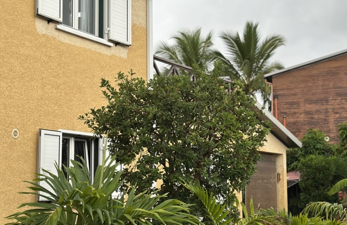 Vente Maison 97450