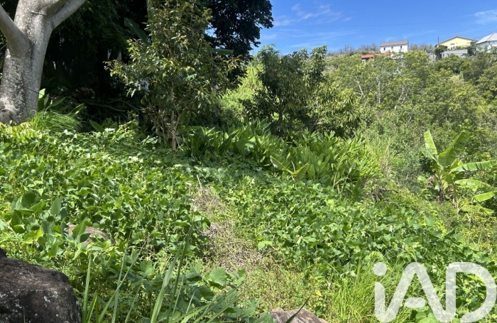 Vente Terrain 1795m&sup2; La Montagne