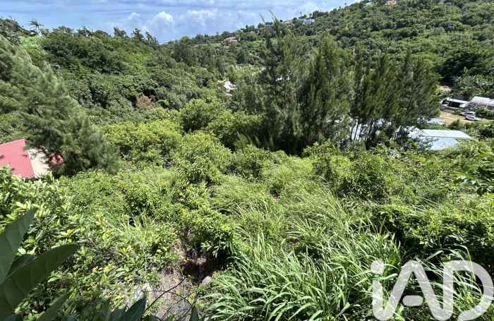 Vente Terrain 1795m&sup2; La Montagne