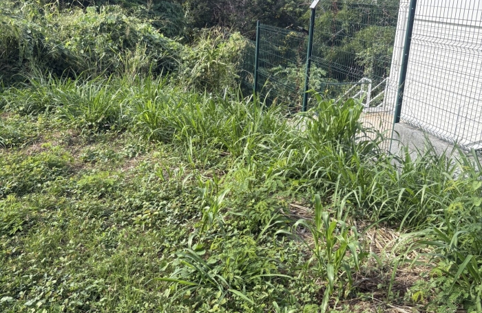 Vente Terrain 97438