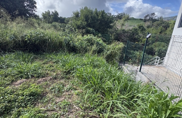 Vente Terrain 1353m&sup2; Sainte Marie