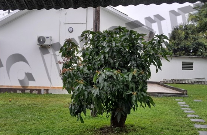 Location Maison 76m&sup2; 4 pi&egrave;ces Ravine des Cabris